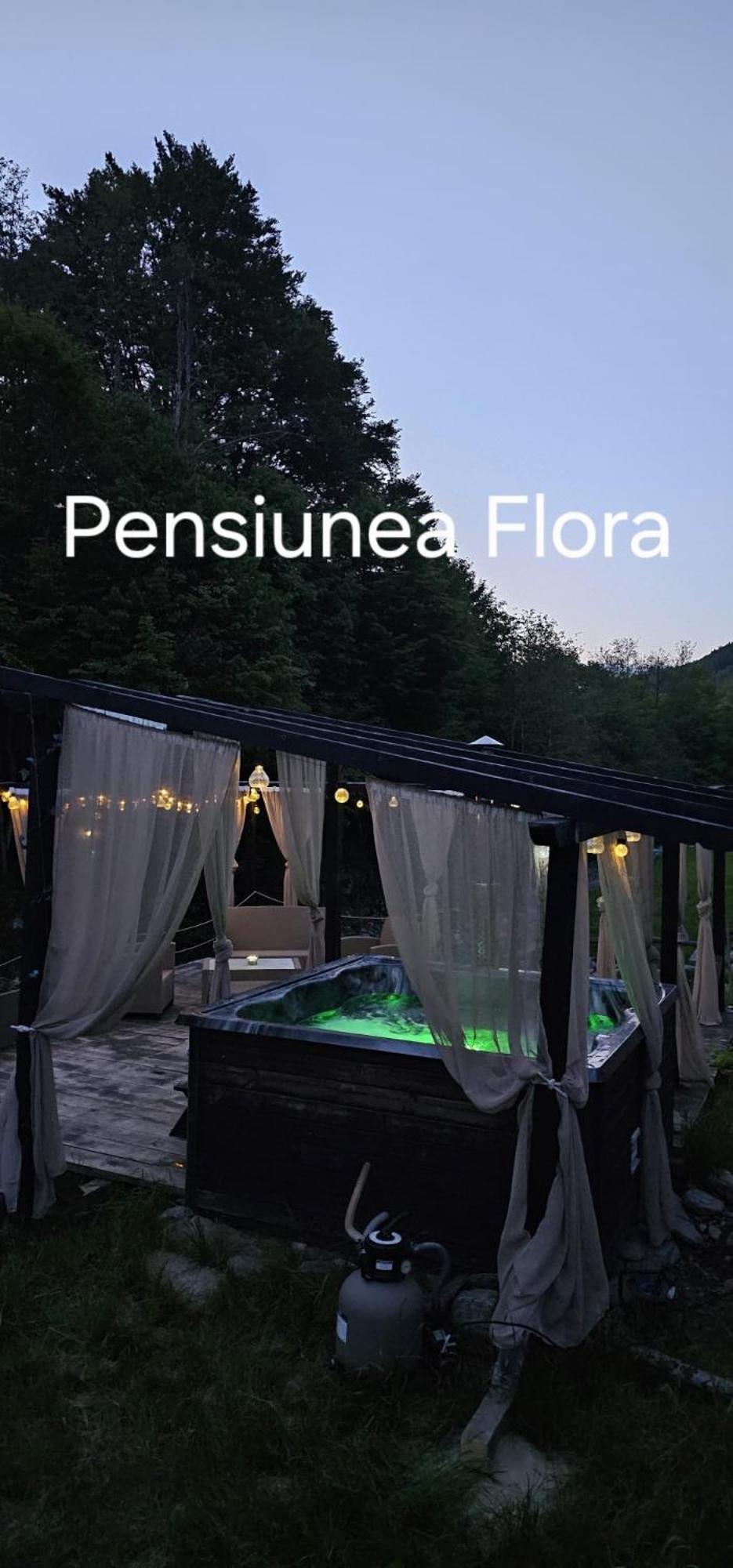 Pensiunea Flora Кырцишоара Экстерьер фото